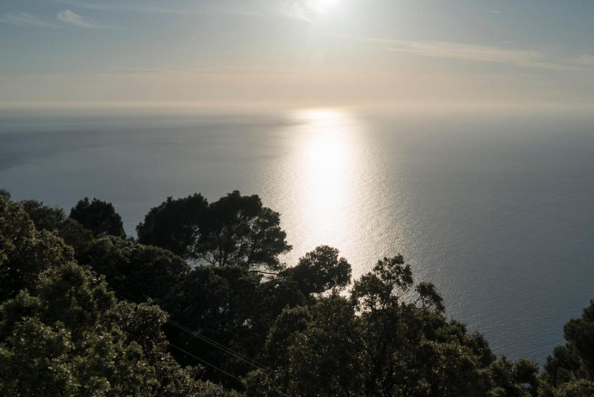 Bordoy Continental Valldemossa