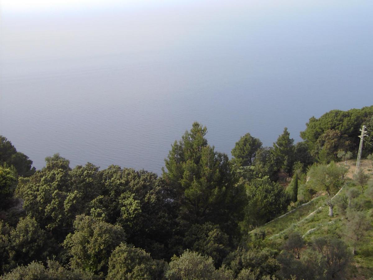 Bordoy Continental Valldemossa