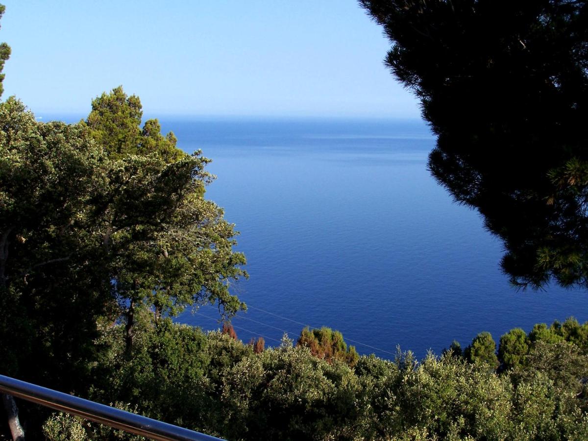 Bordoy Continental Valldemossa