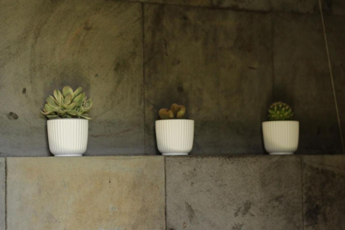 Il Carosello dei Baroni