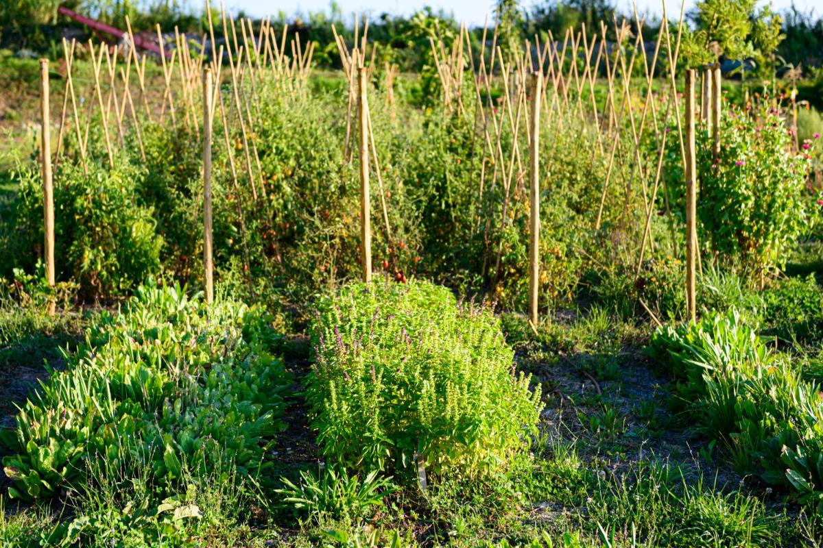 Borgo Antichi Orti Assisi