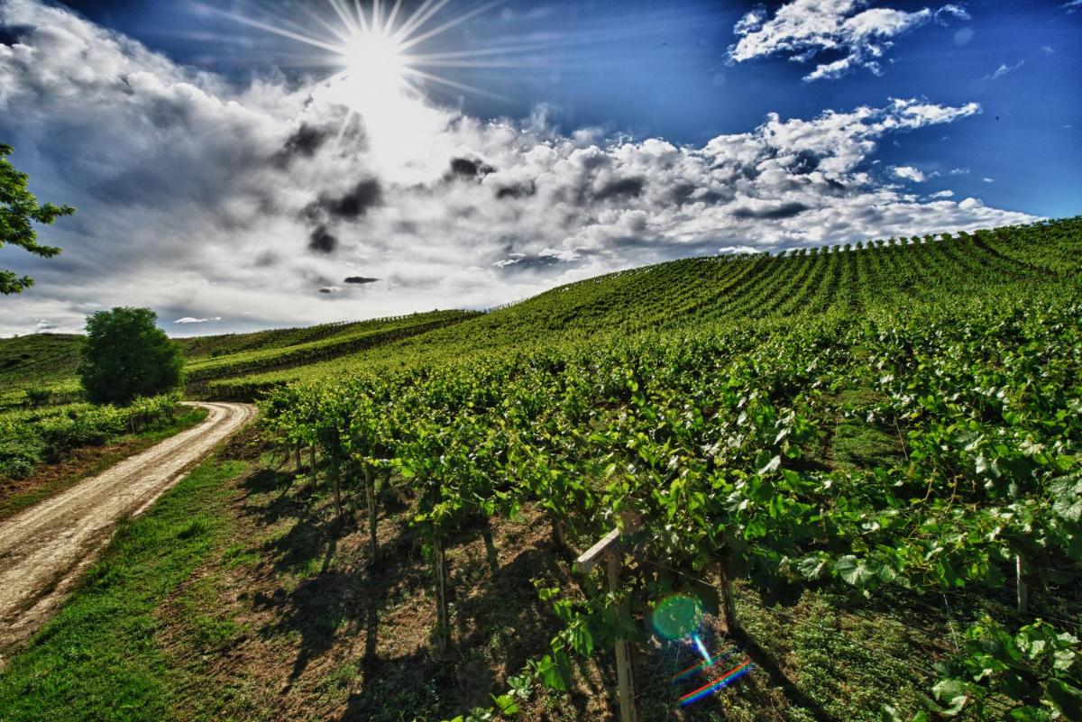 Borgo Baccile by Vini Fantini