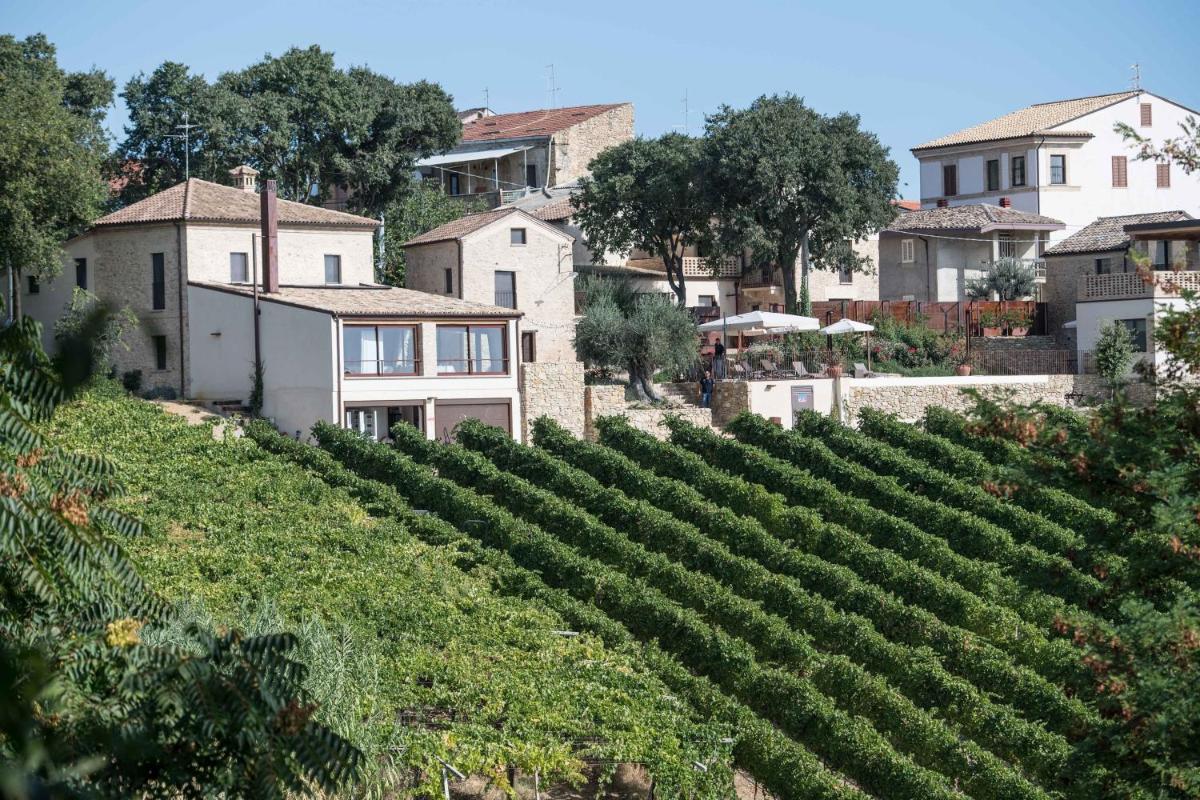 Borgo Baccile by Vini Fantini