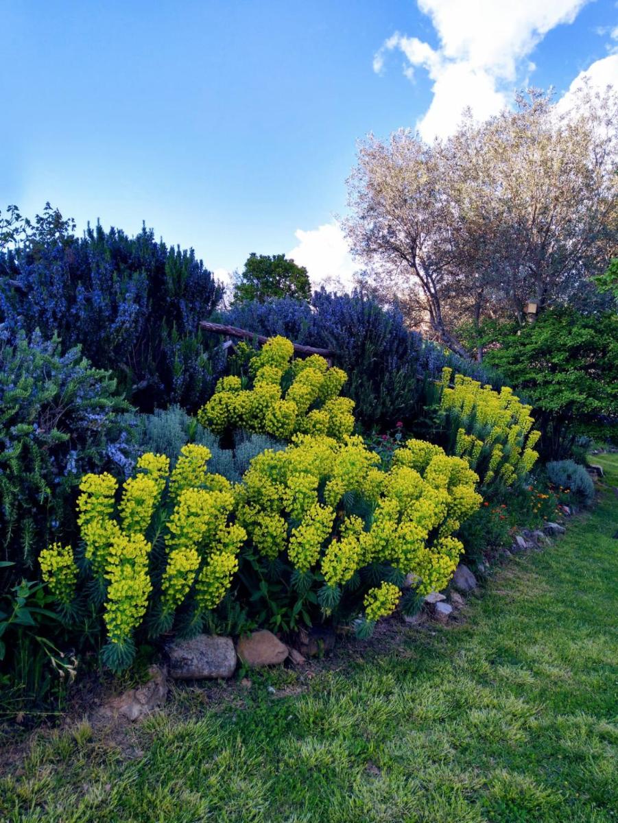 Borgo Castello Panicaglia