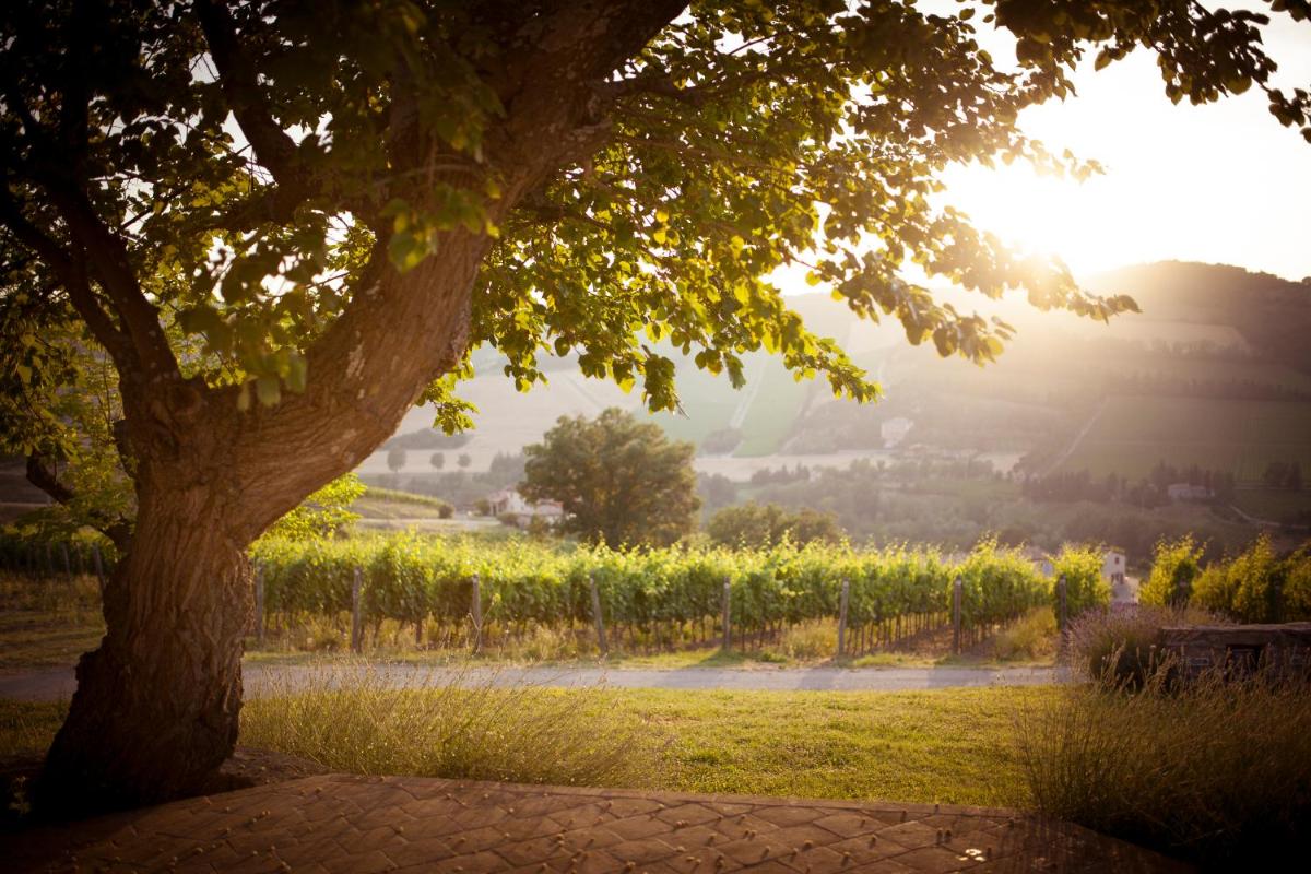 Borgo Conde Wine Resort