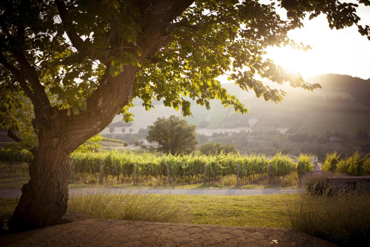 Borgo Conde Wine Resort