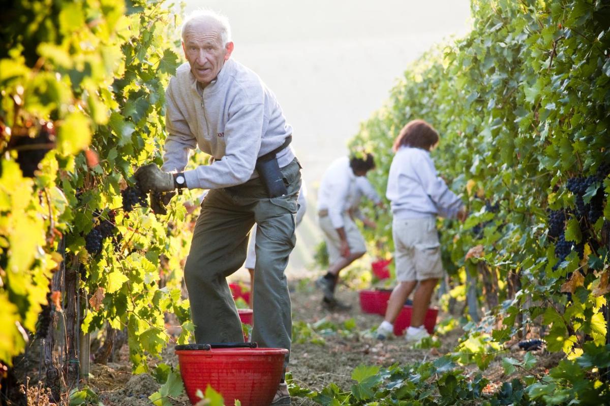 Borgo Conde Wine Resort