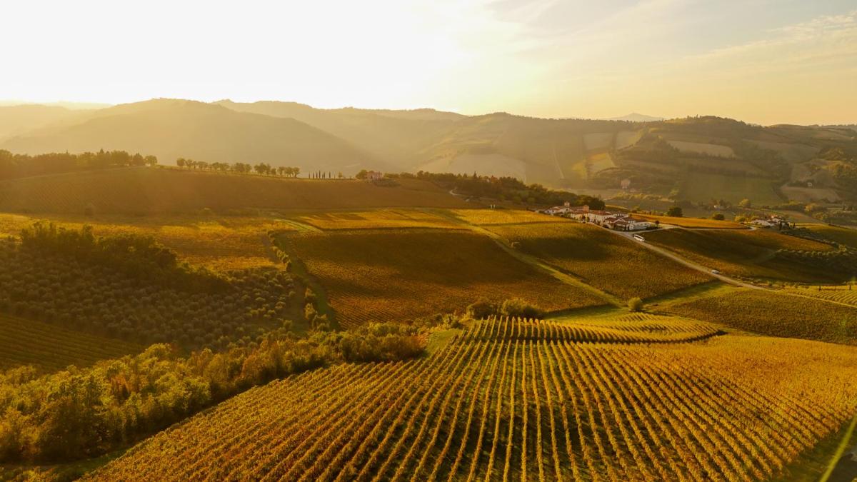 Borgo Conde Wine Resort