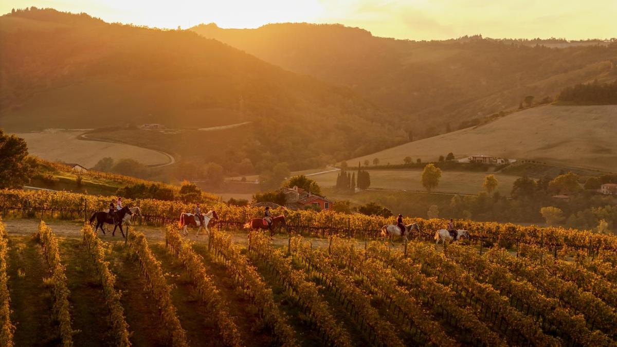 Borgo Conde Wine Resort