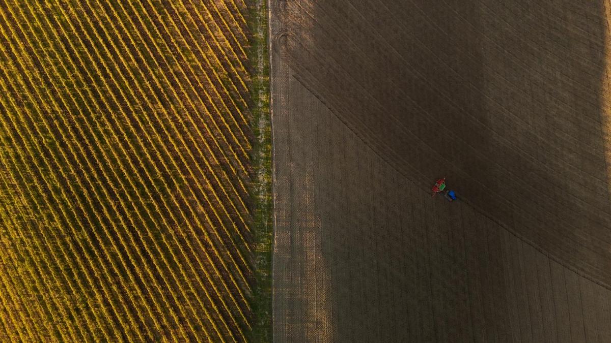 Borgo Conde Wine Resort