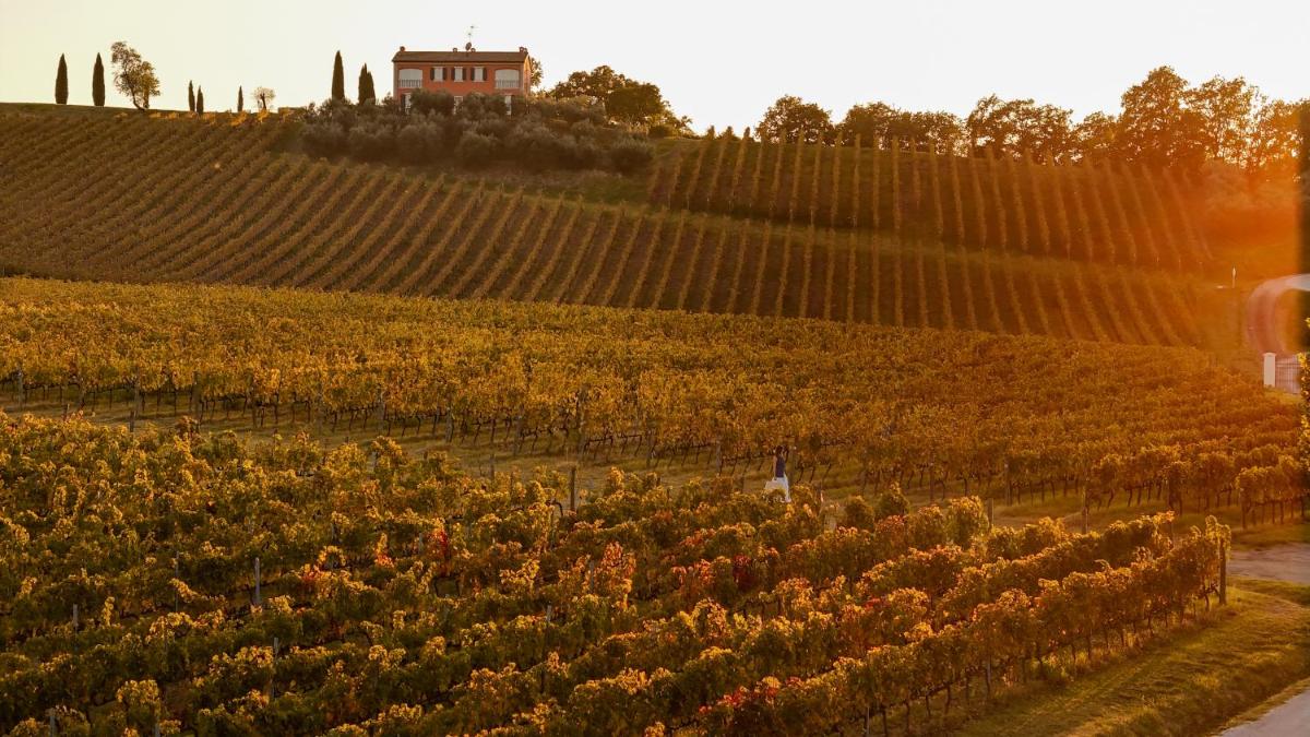 Borgo Conde Wine Resort