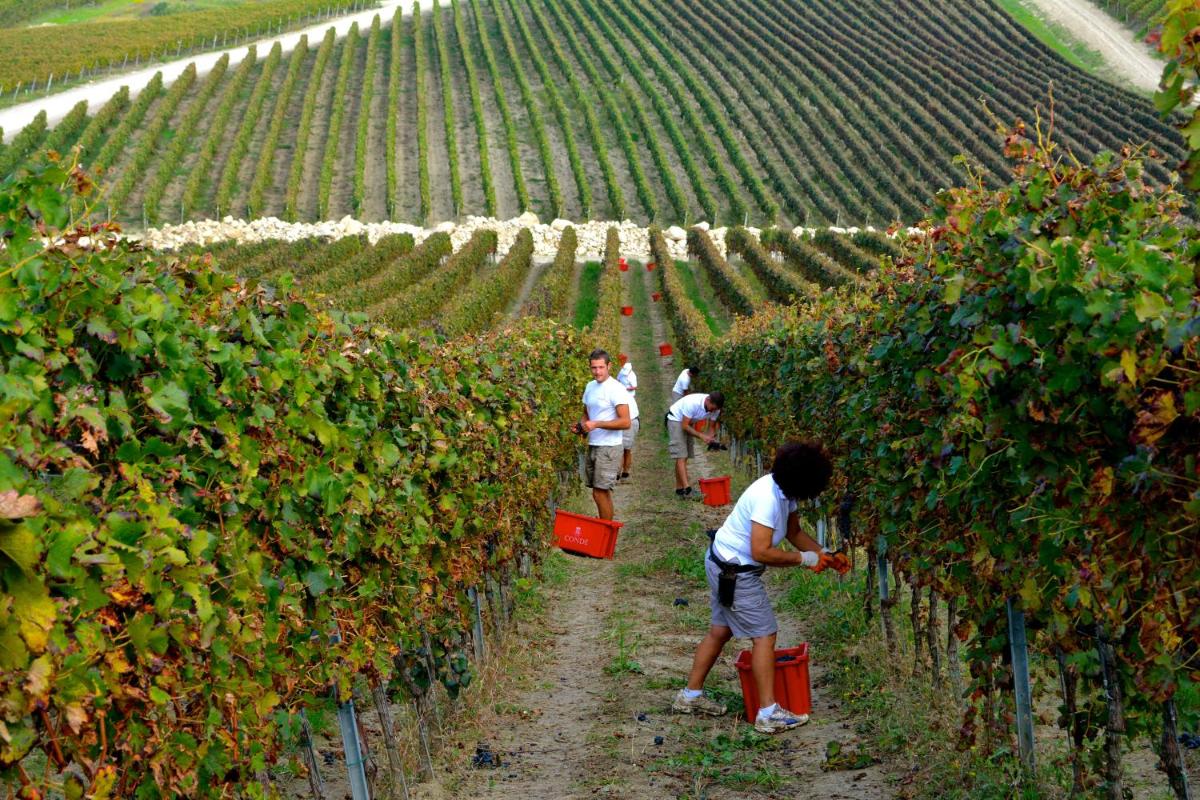 Borgo Conde Wine Resort