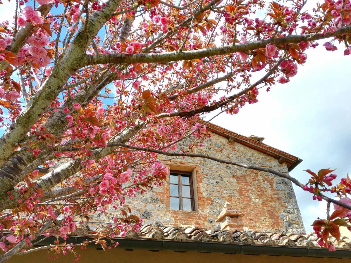 Borgo dé Brandi