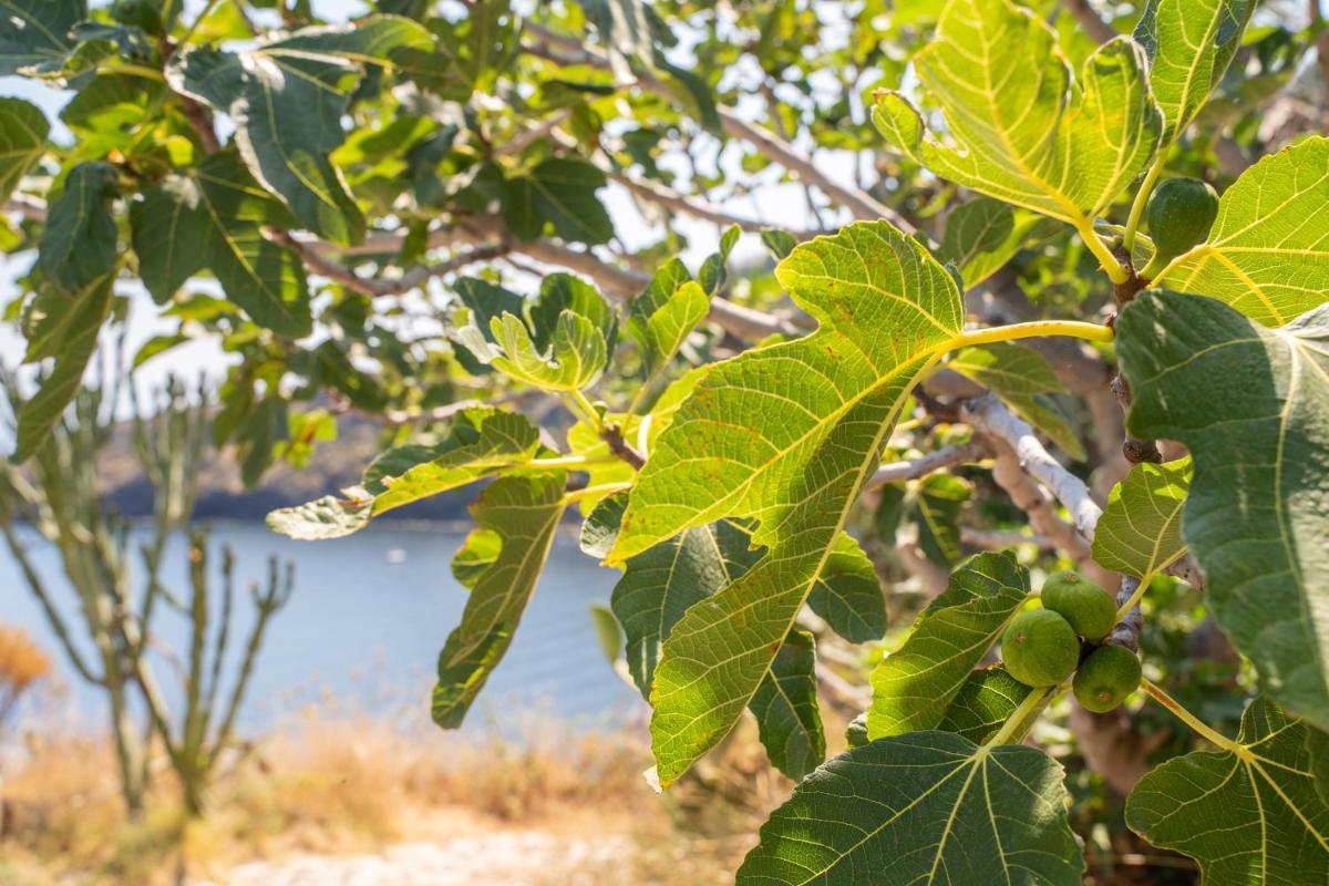 Borgo del Cannitello Romantic Boutique Resort