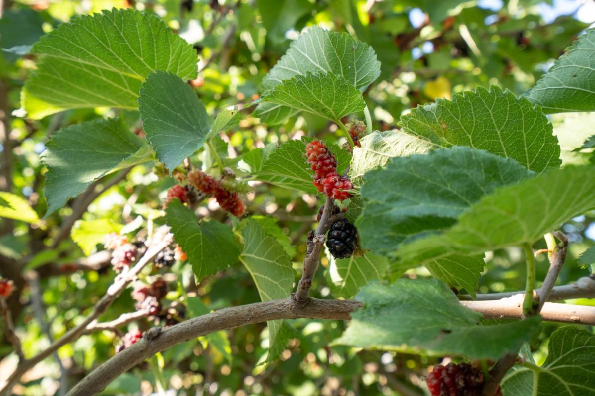 Borgo del Cannitello Romantic Boutique Resort