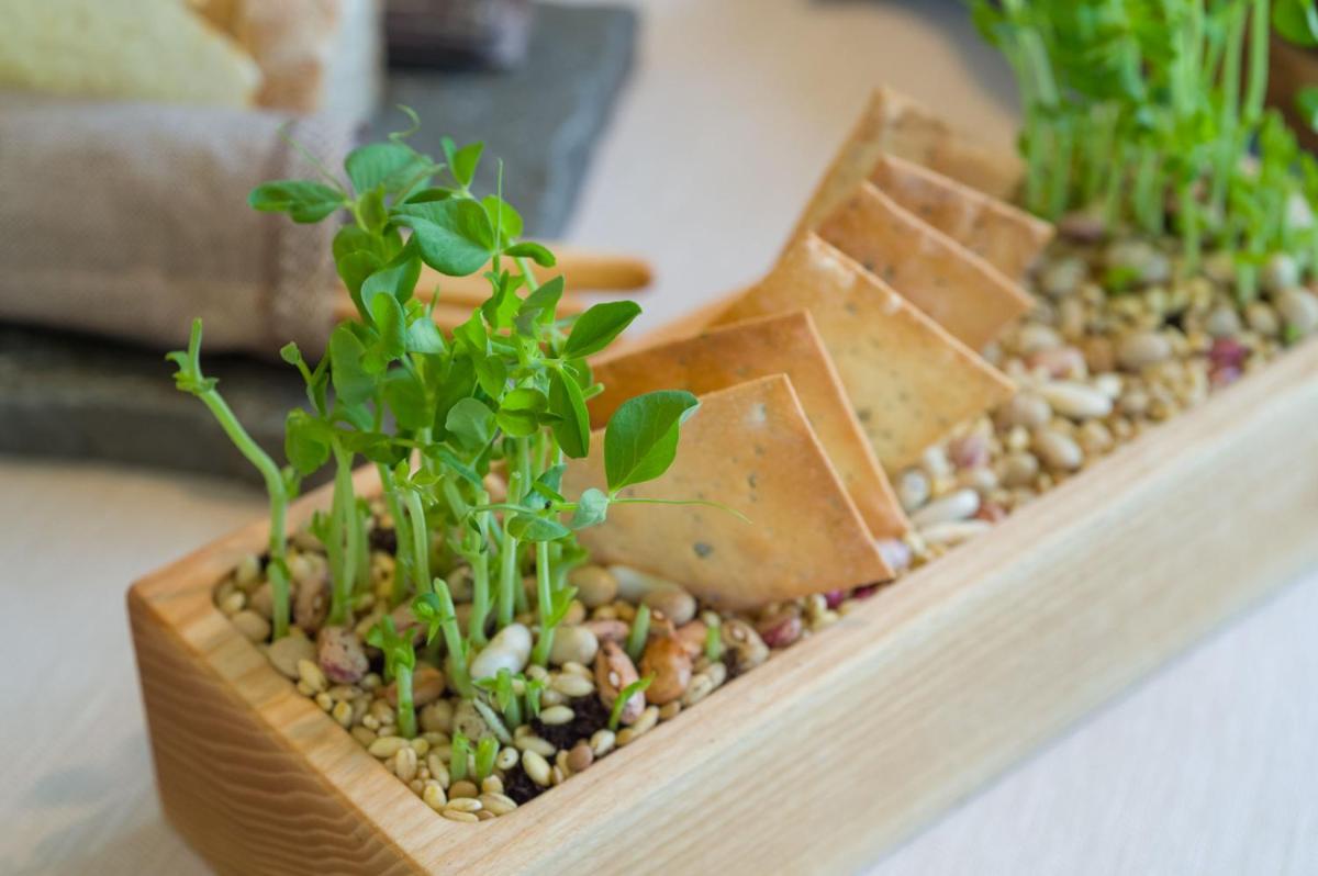 Borgo La Chiaracia Resort & SPA