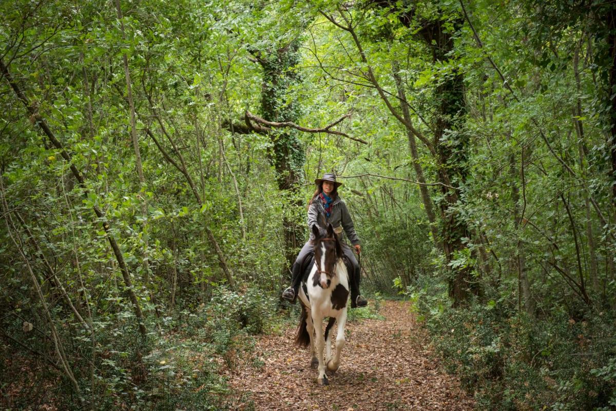Borgo Pignano Tuscany