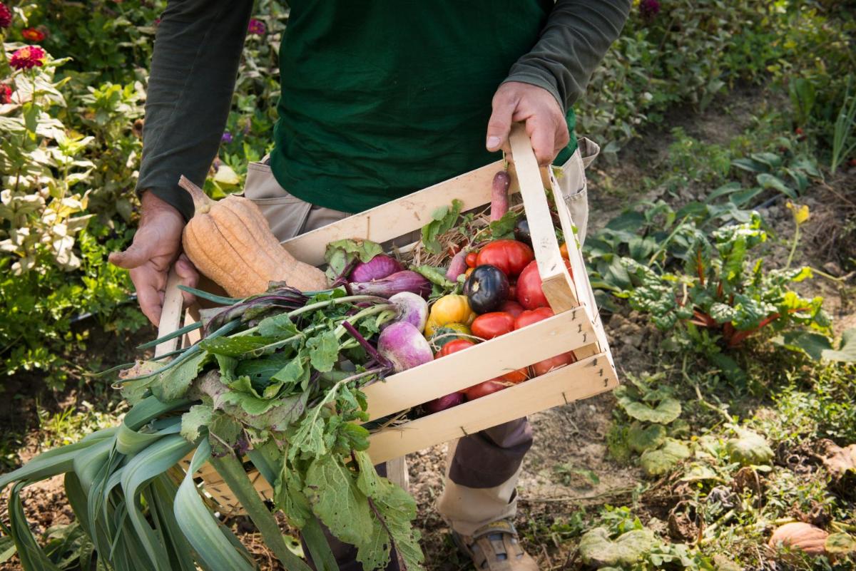Borgo Pignano Tuscany