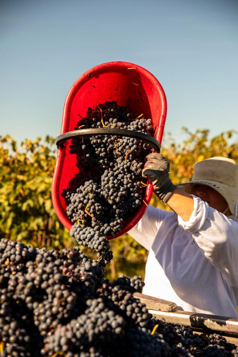 Borgo San Felice Resort