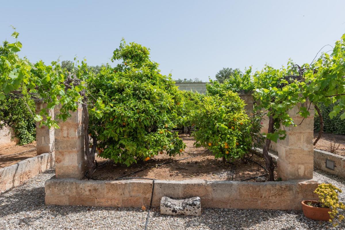 Masseria Borgo San Marco