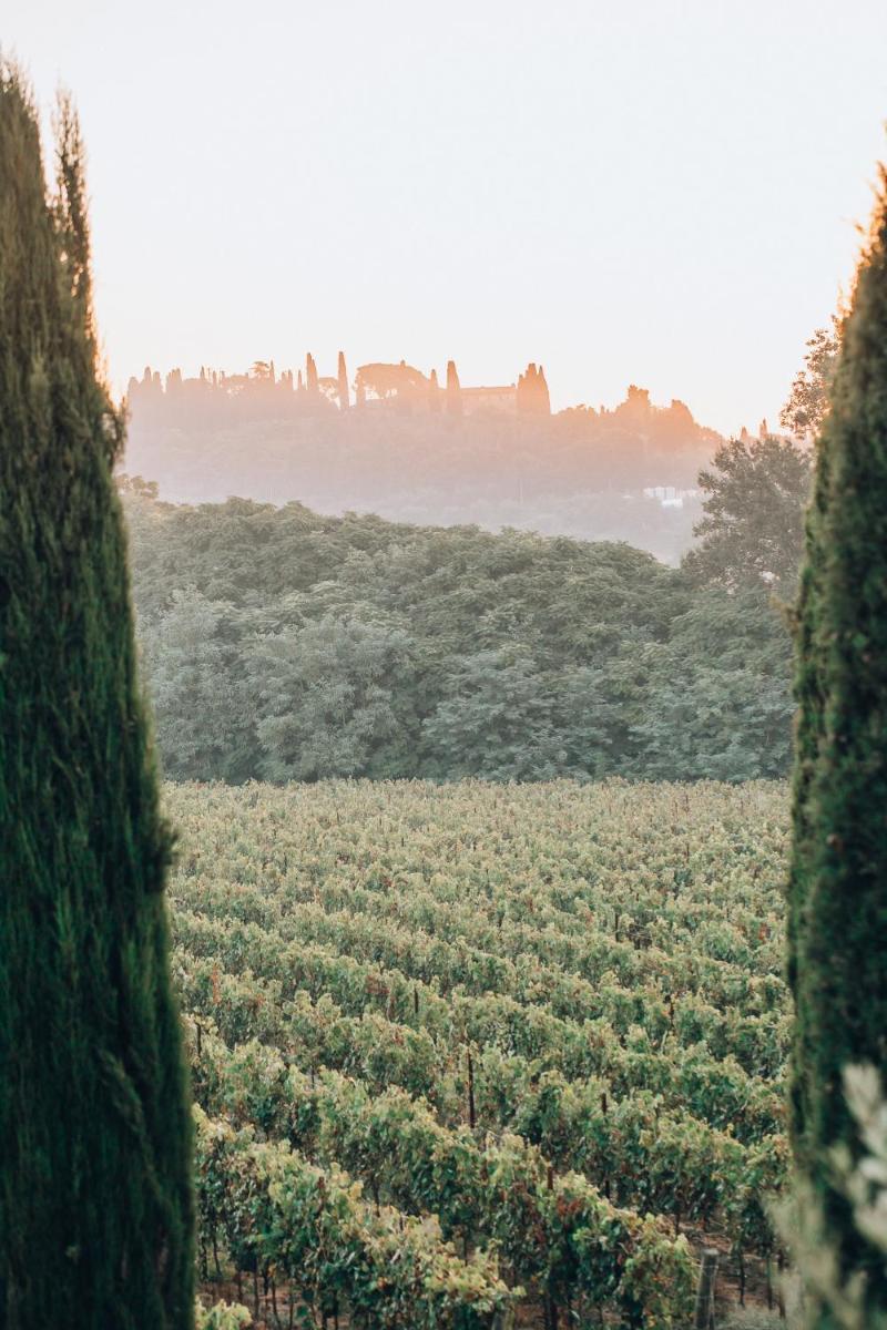 Borgo San Vincenzo