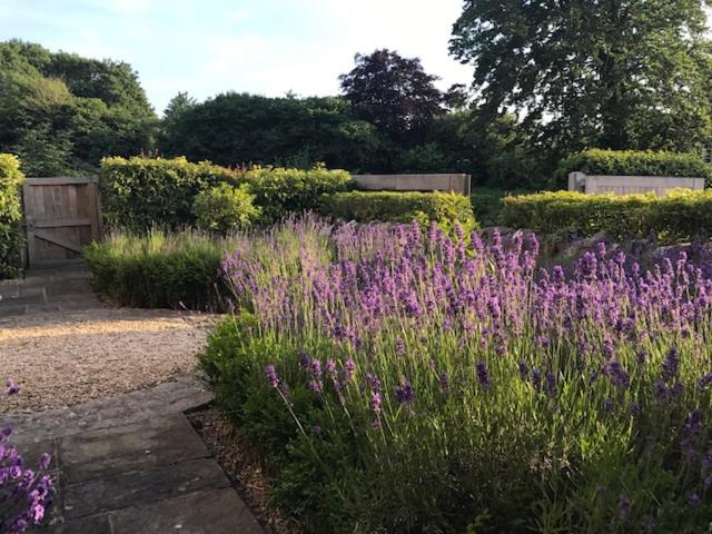 Brittons Farm and Cottages, Hot Tub and Gym