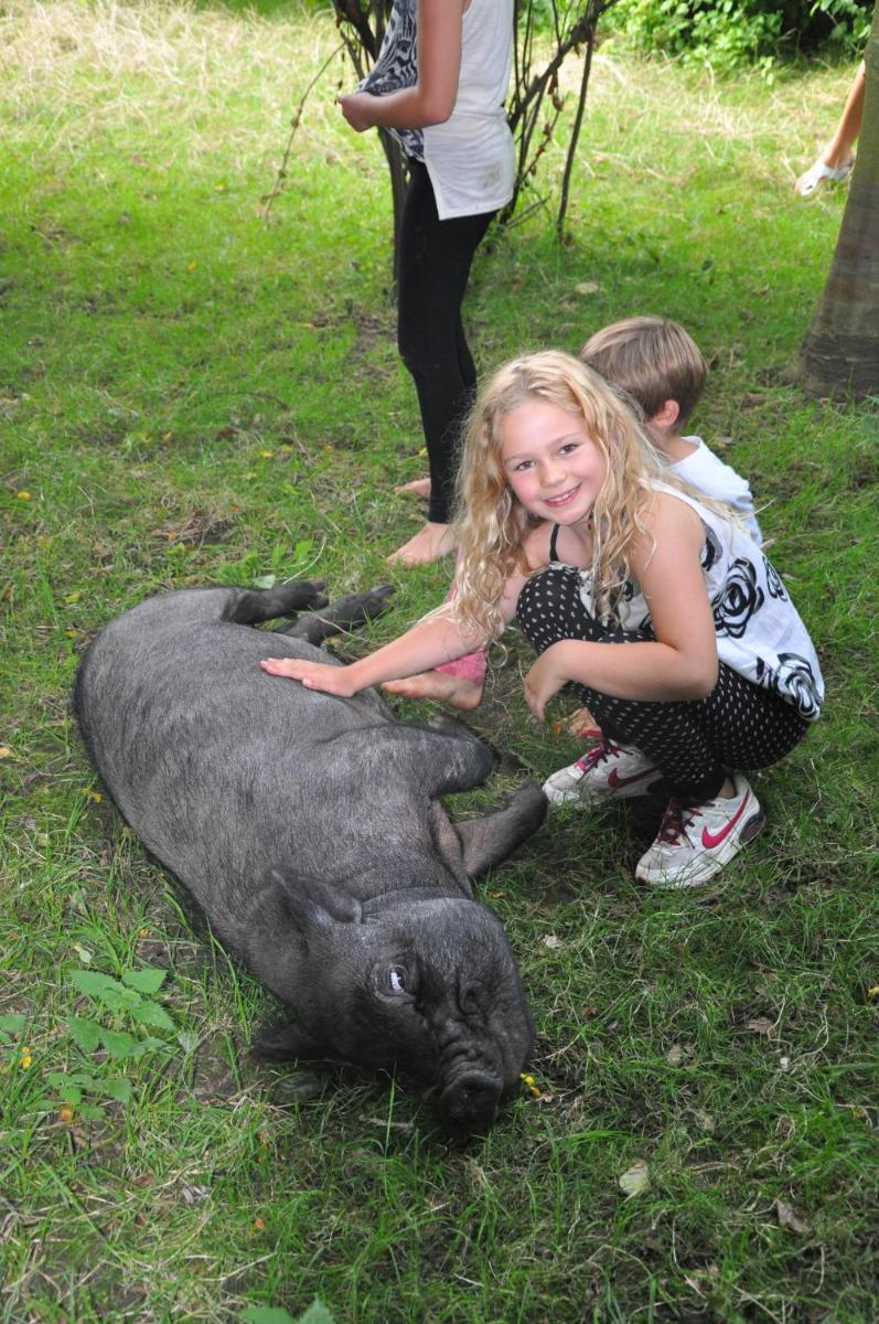 Brittons Farm and Cottages, Hot Tub and Gym
