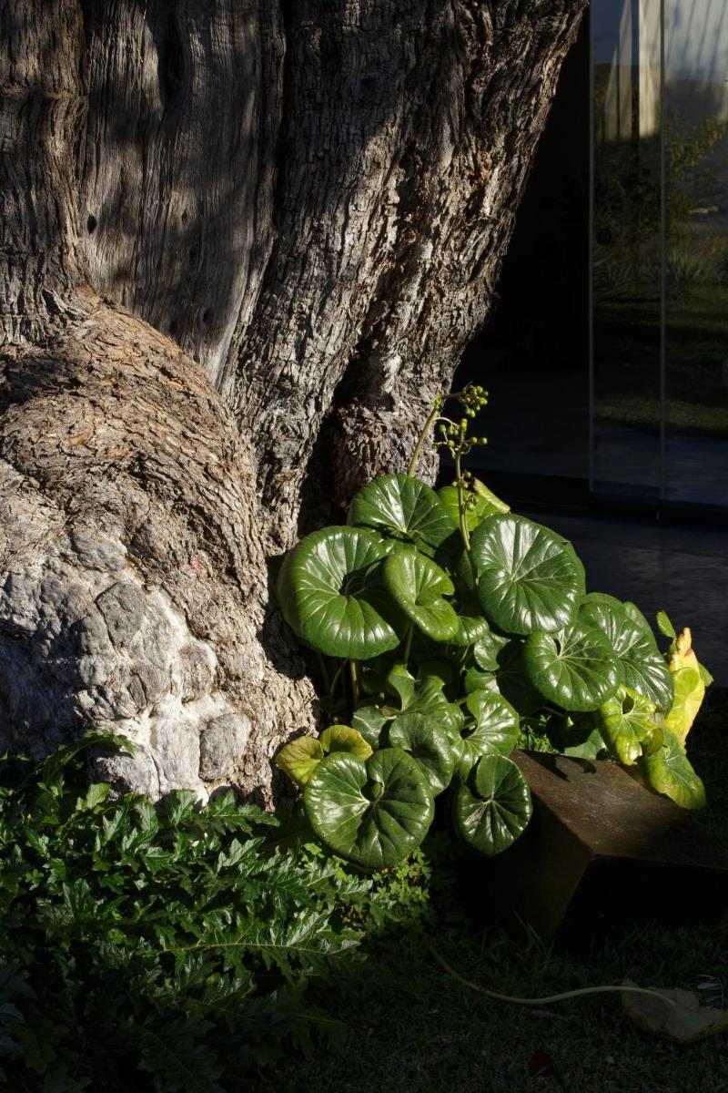 Buahjar Boutique Home Apartment