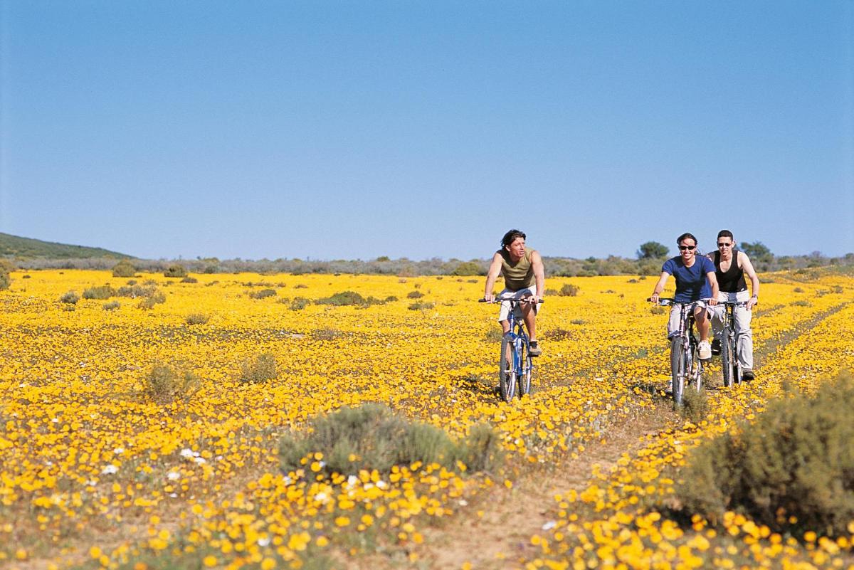 Bushmans Kloof Wilderness Reserve and Wellness Retreat