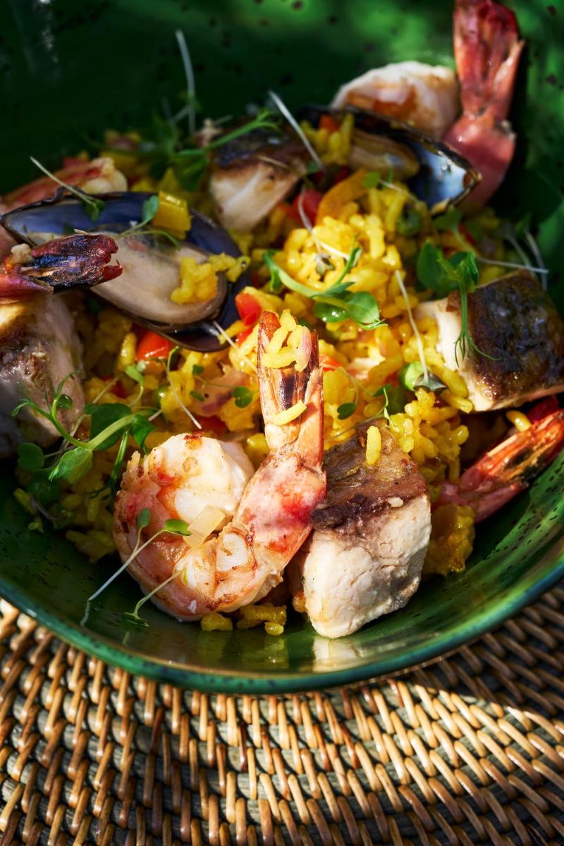 Bushmans Kloof Wilderness Reserve and Wellness Retreat