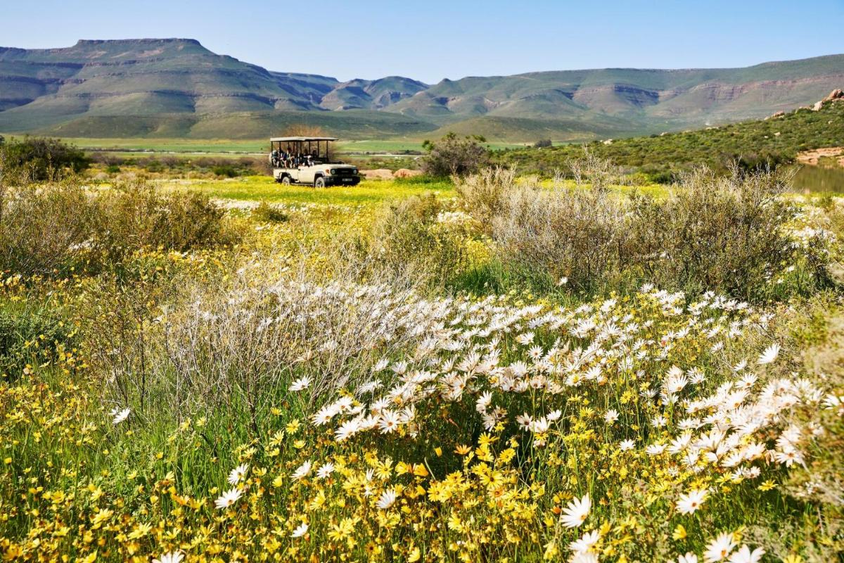 Bushmans Kloof Wilderness Reserve and Wellness Retreat