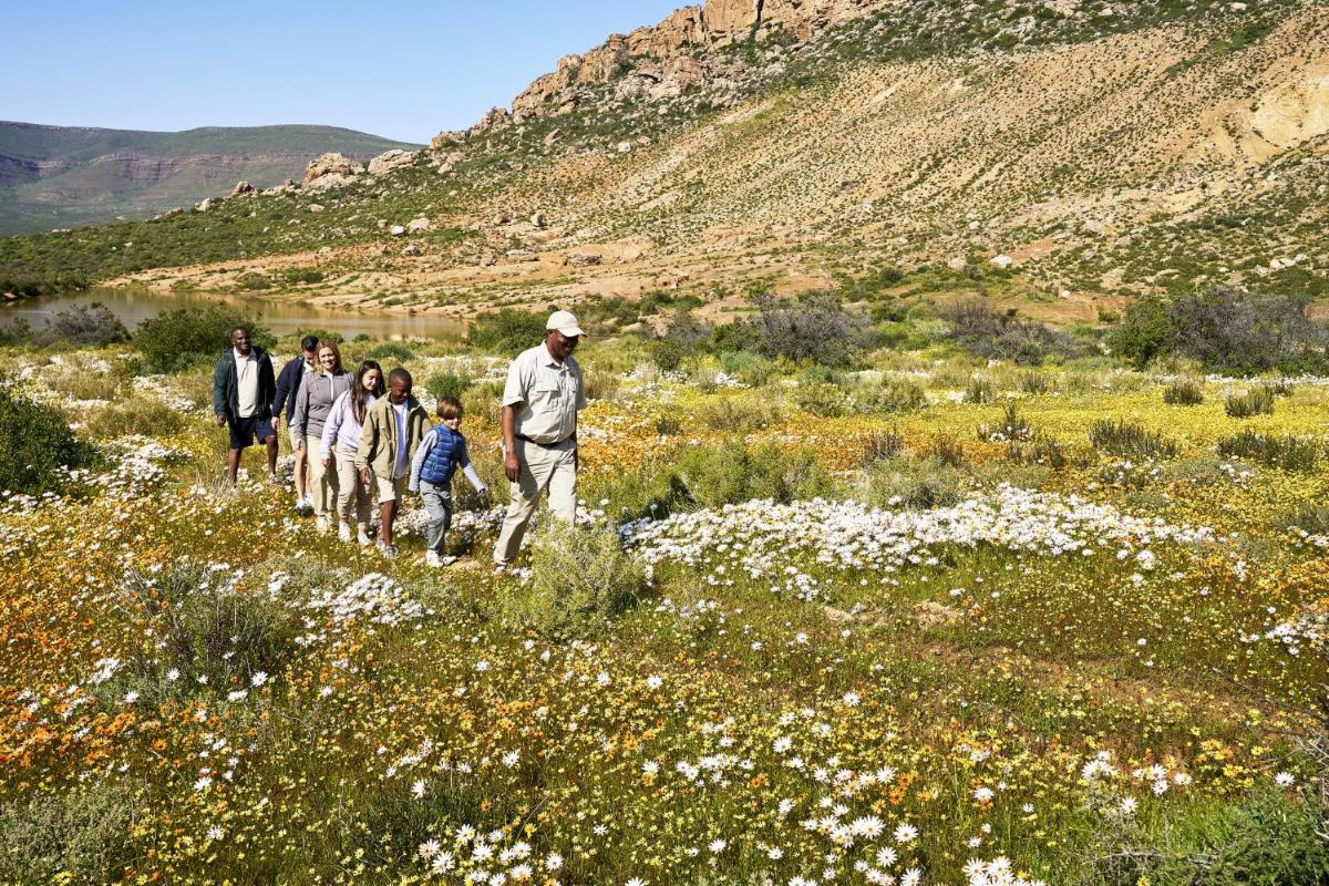 Bushmans Kloof Wilderness Reserve and Wellness Retreat