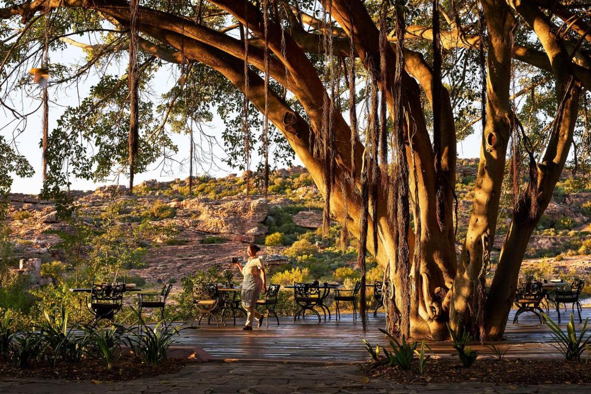 Bushmans Kloof Wilderness Reserve and Wellness Retreat