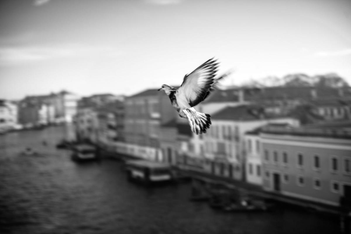 Ca' Bonfadini Historic Experience