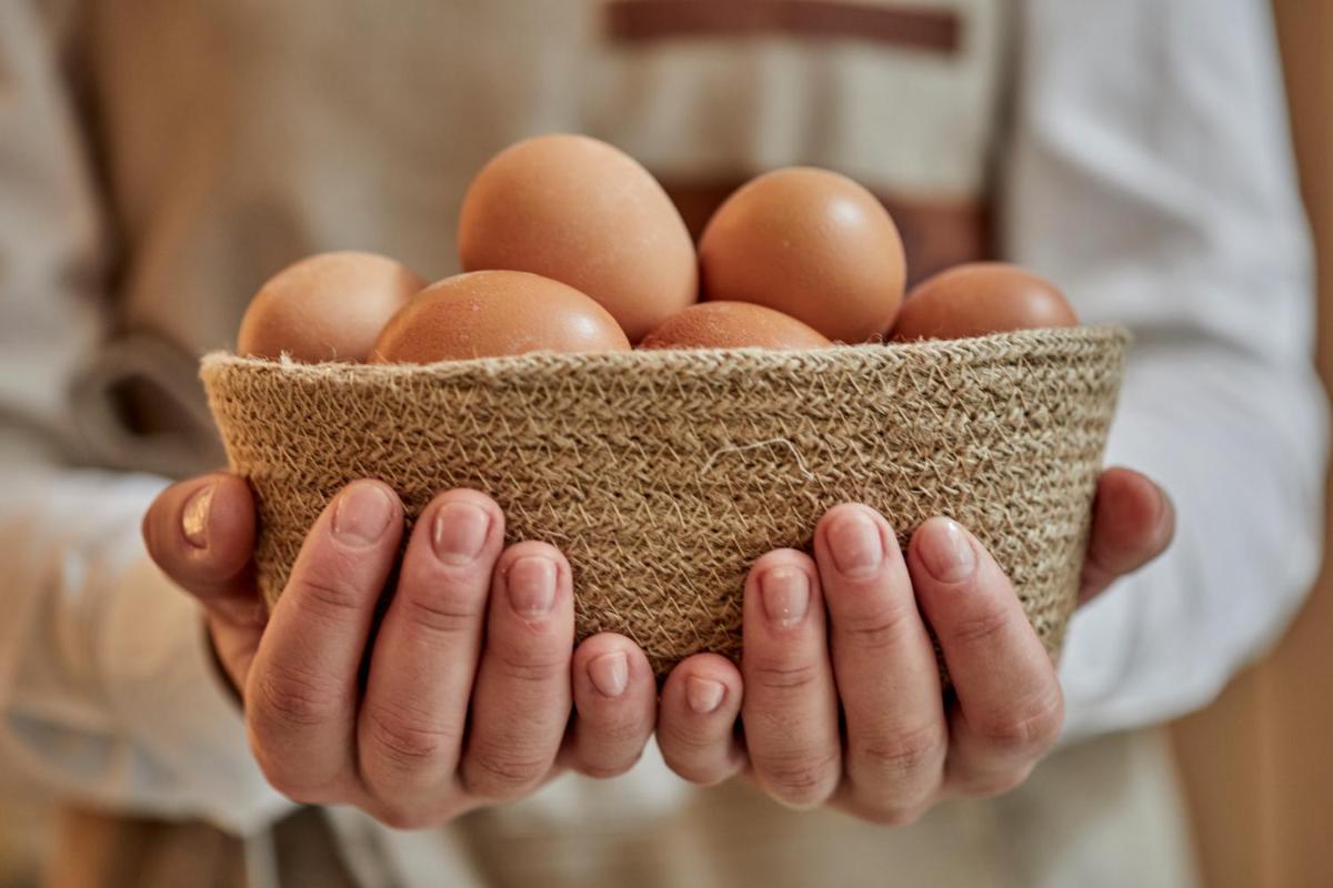 Ca n'Alexandre - Adults Only