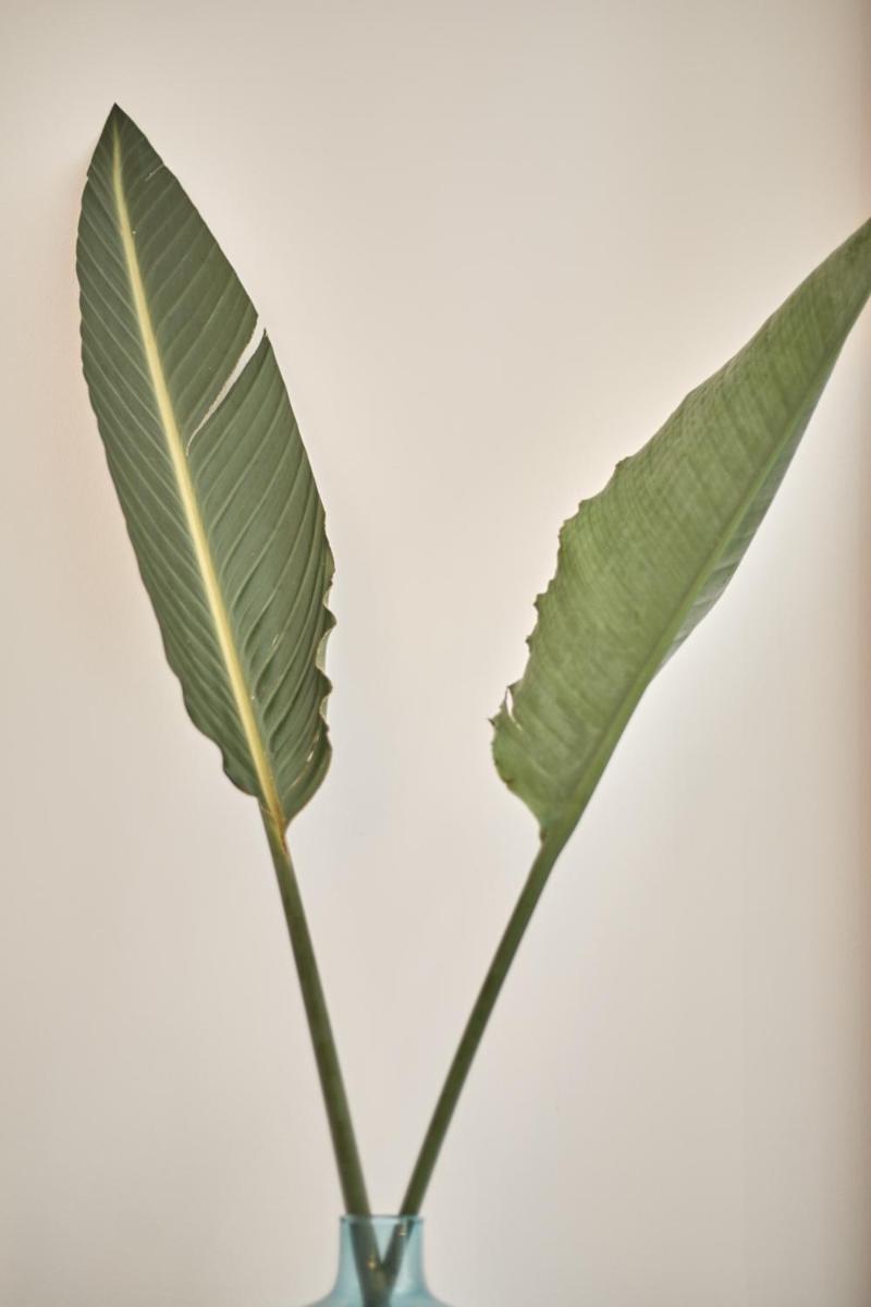 Ca n'Alexandre - Adults Only