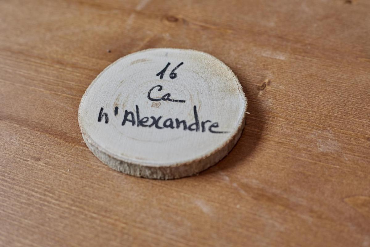 Ca n'Alexandre - Adults Only