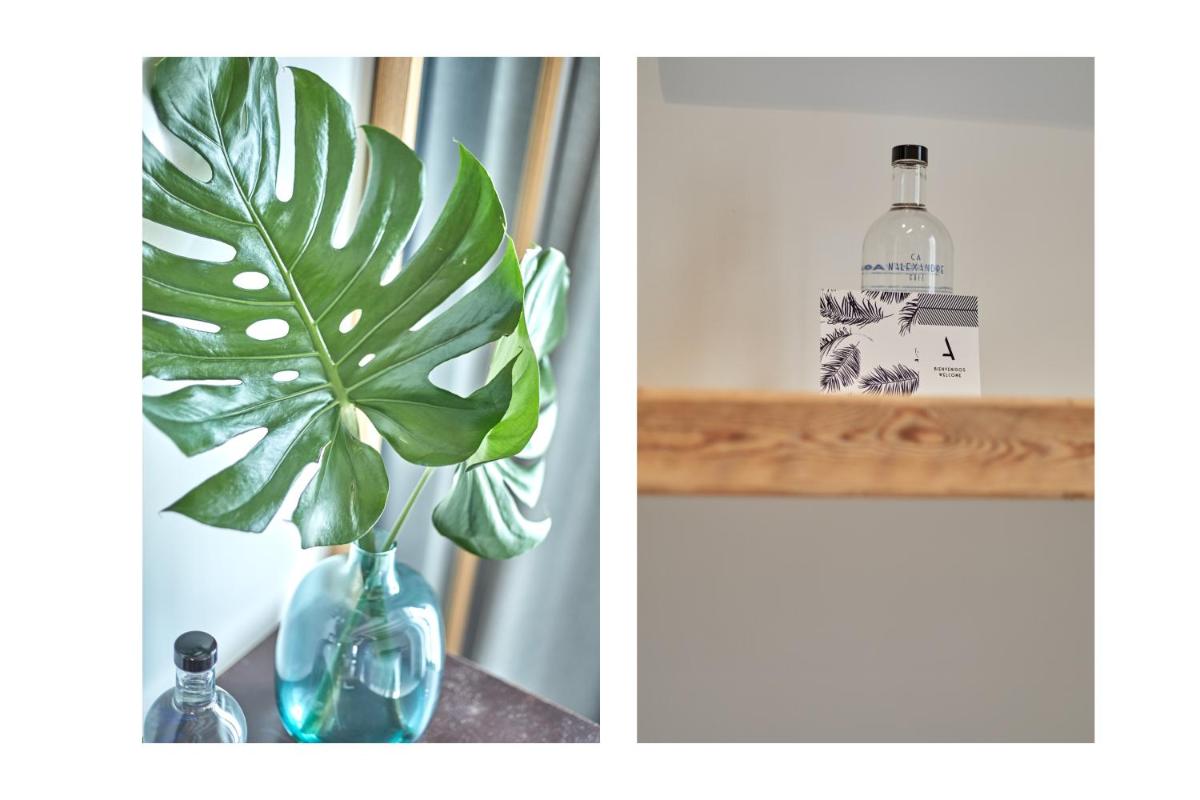 Ca n'Alexandre - Adults Only