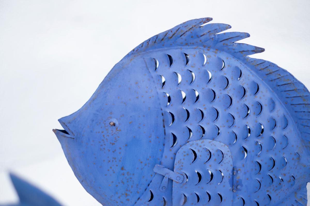 Hotel Ca S'Arader Turismo de Interior