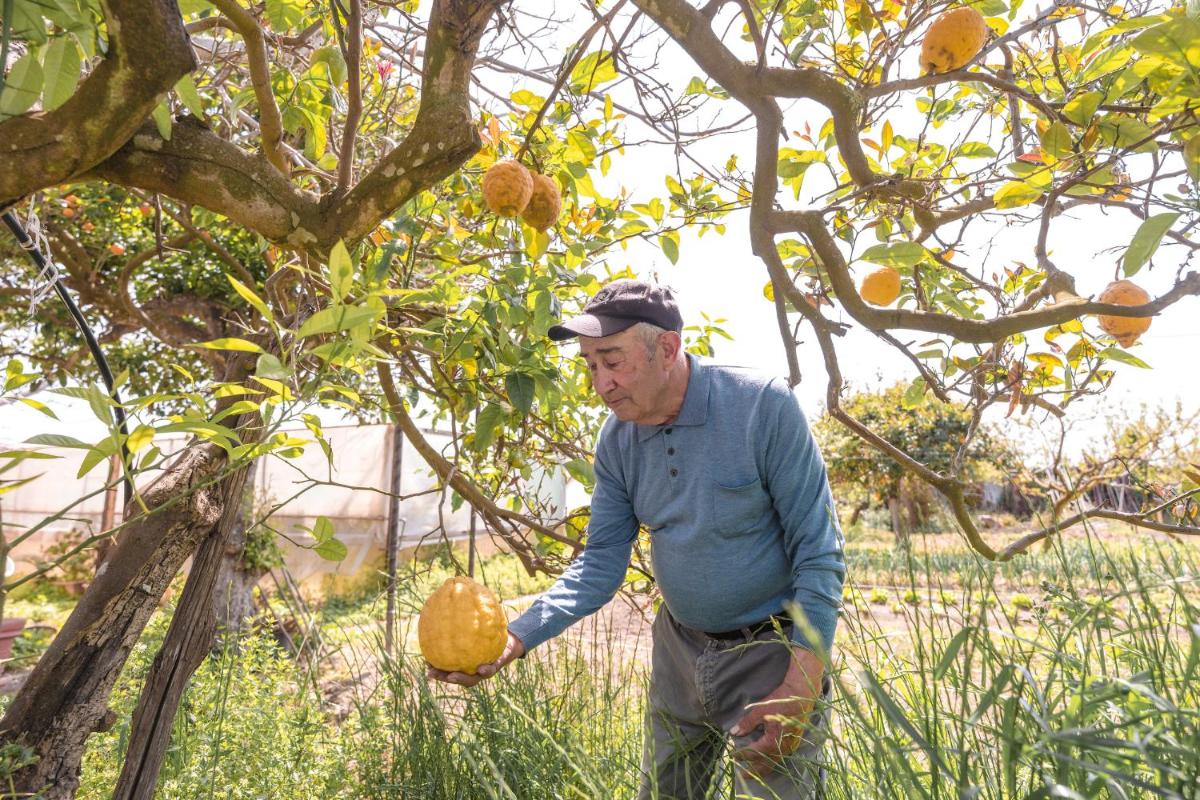 Cala Cala Rooms,Restaurant & Farm Experience