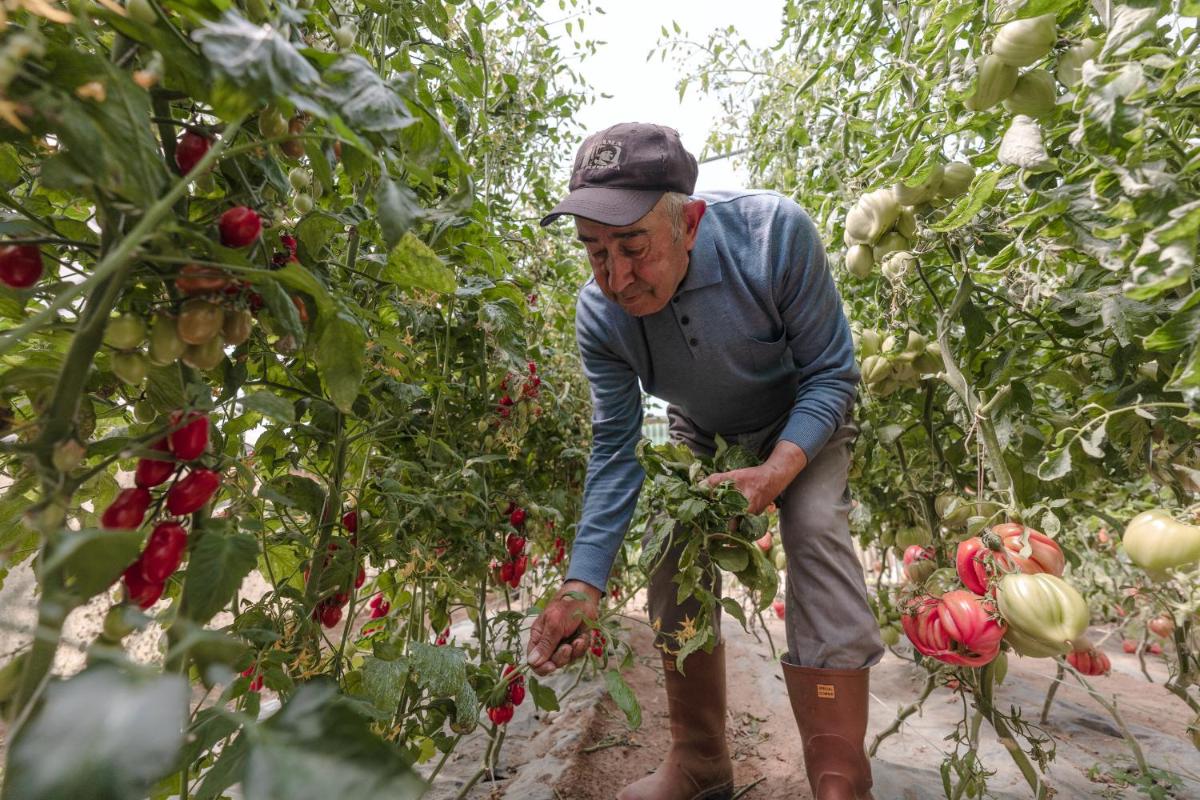 Cala Cala Rooms,Restaurant & Farm Experience