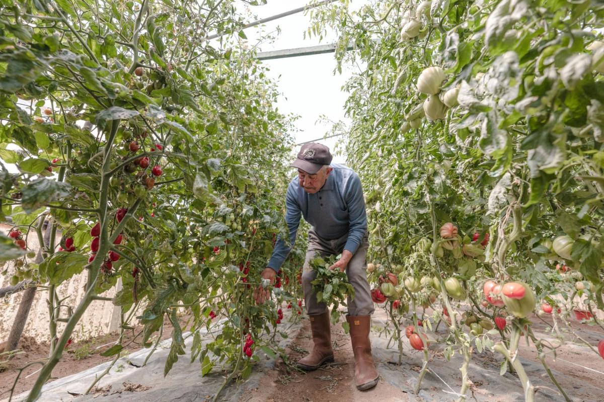 Cala Cala Rooms,Restaurant & Farm Experience