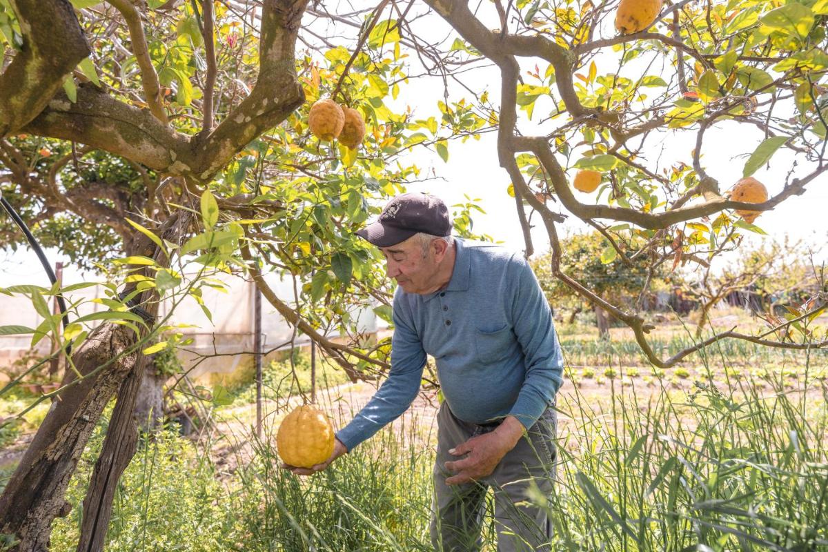 Cala Cala Rooms,Restaurant & Farm Experience