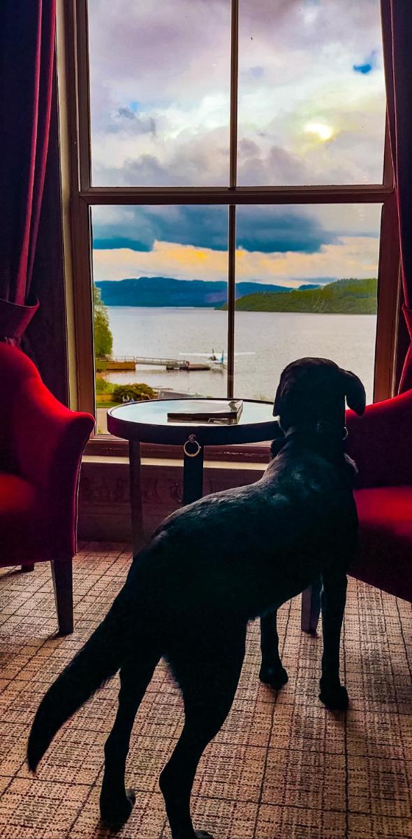 Cameron House on Loch Lomond
