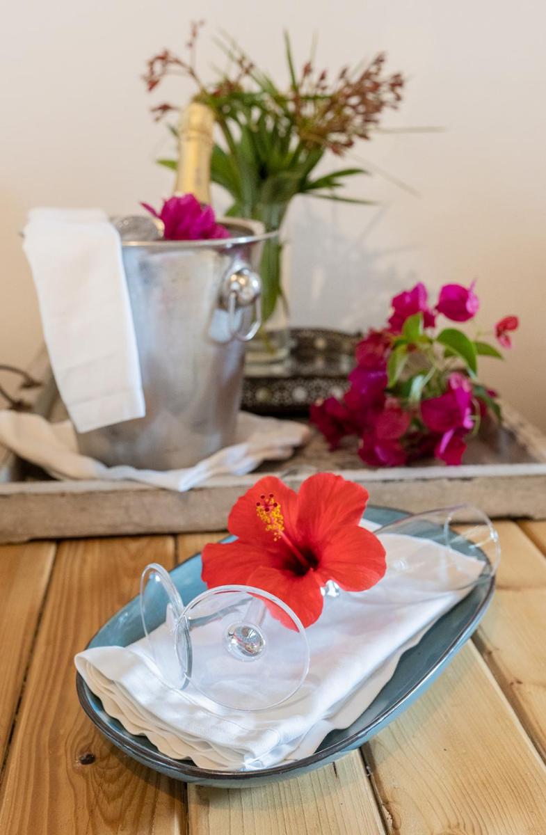 Can Aisha - Adults Only