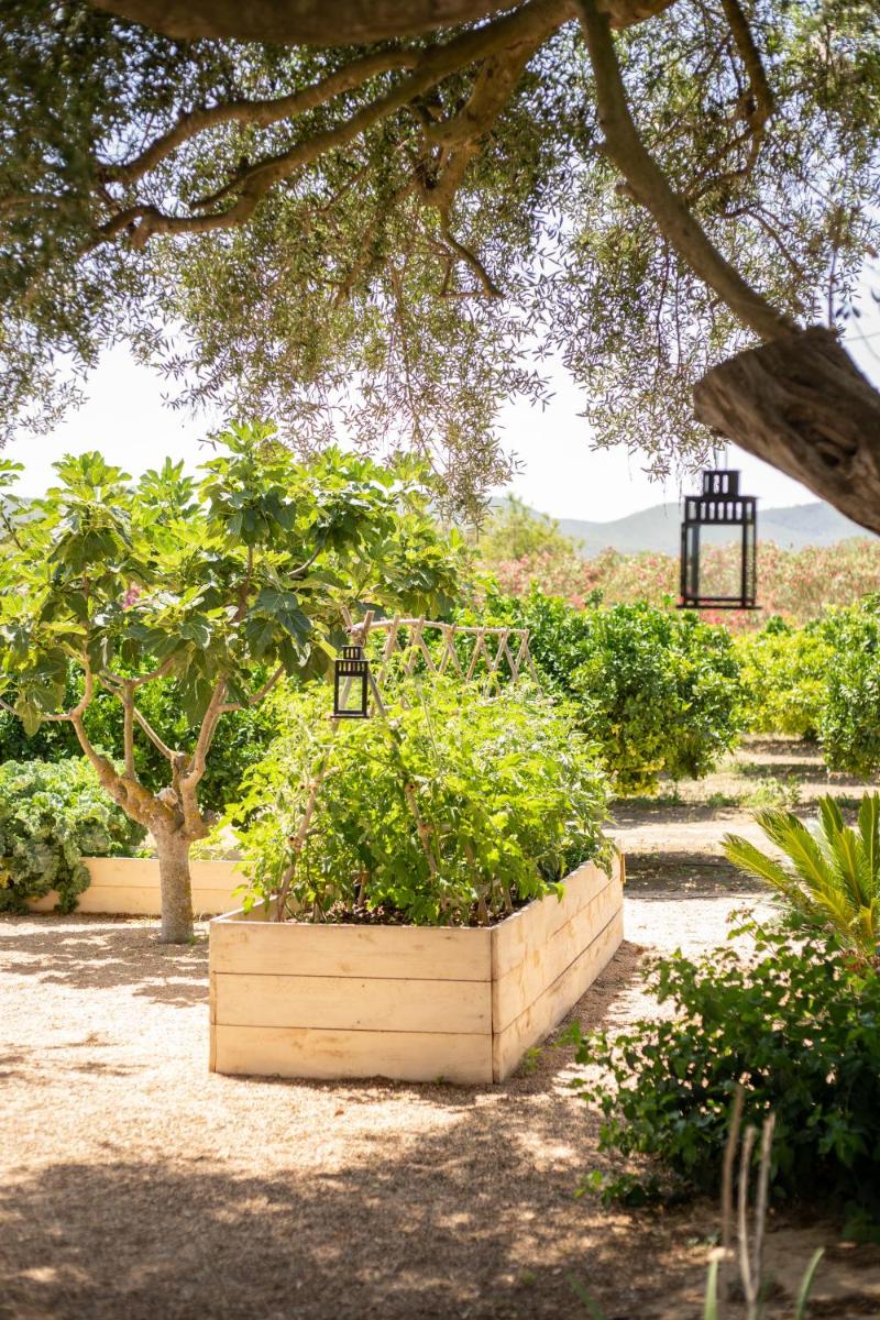 Can Arabí - Adults Only