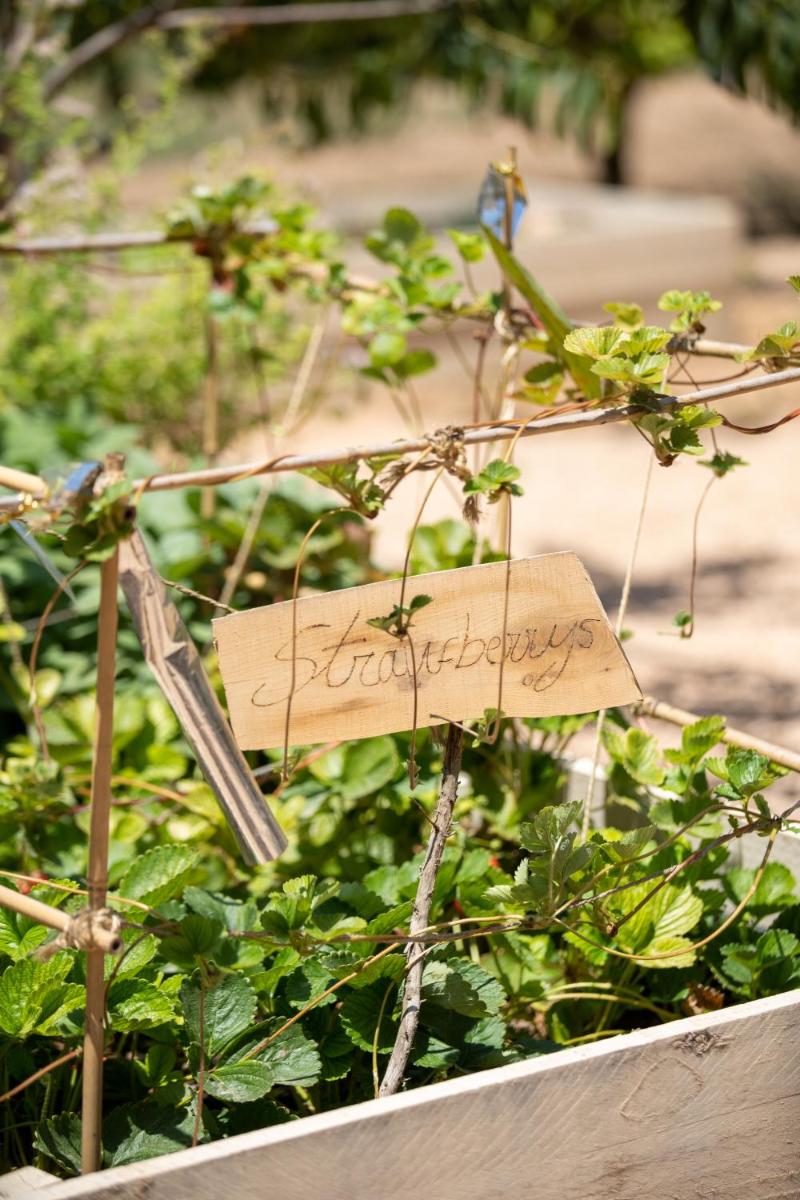 Can Arabí - Adults Only