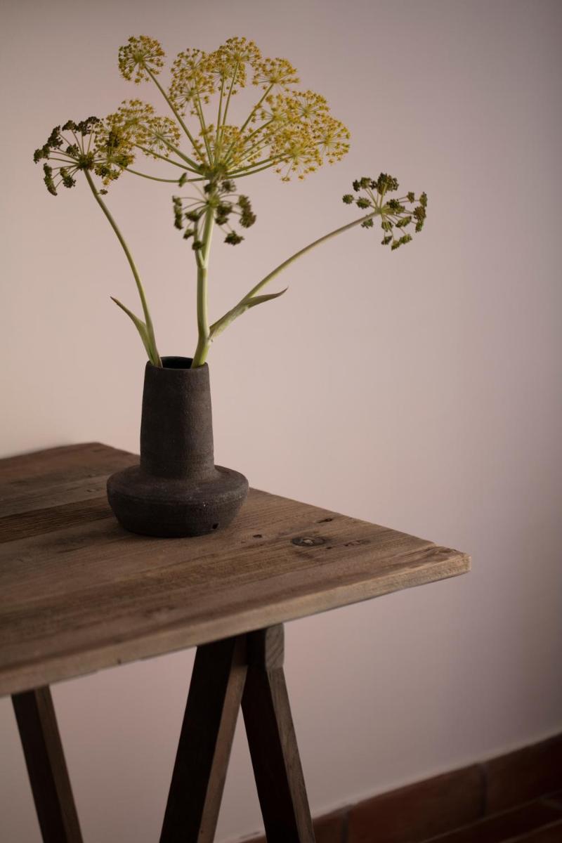 Can Arabí - Adults Only