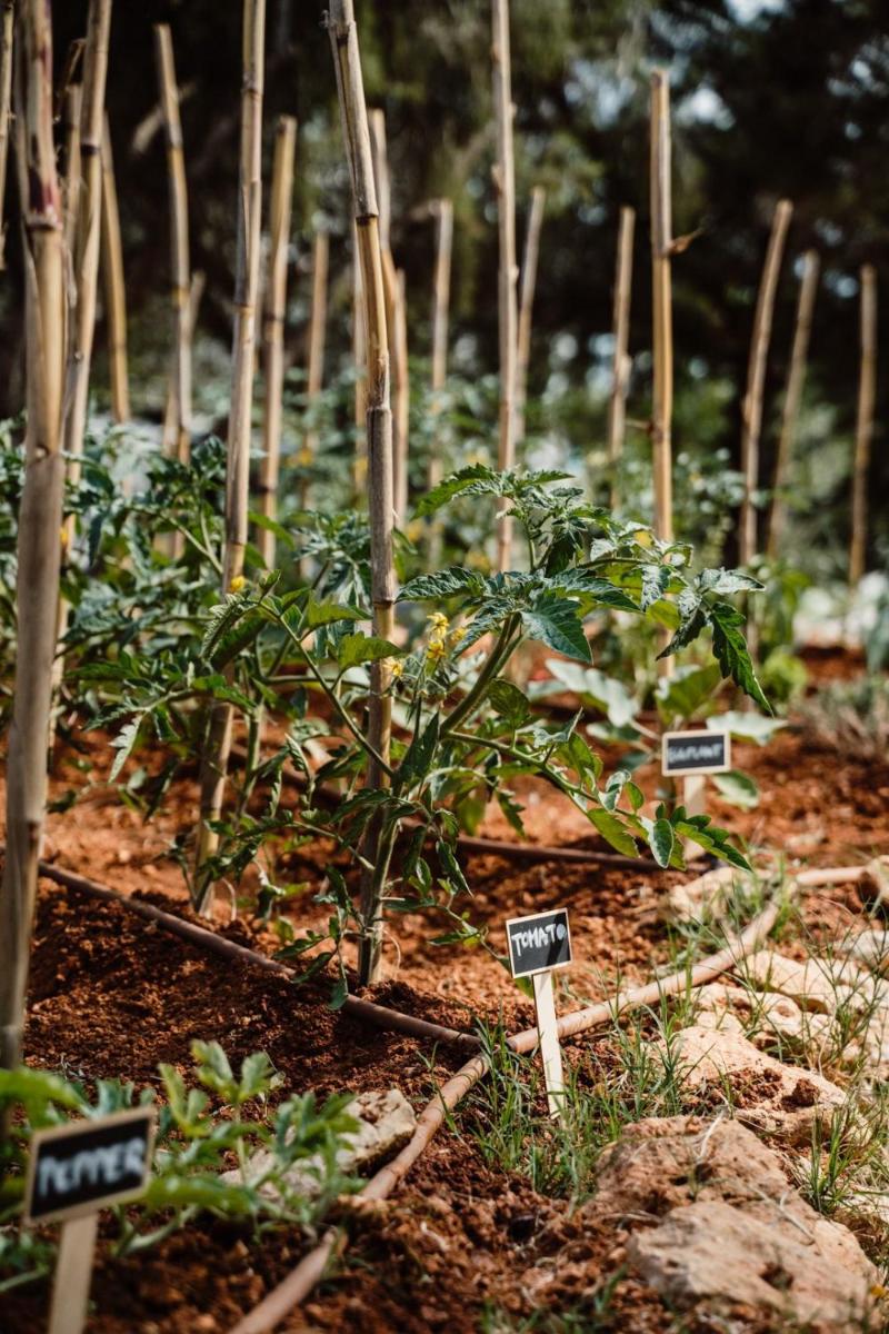 Can Vistabella Boutique Resort