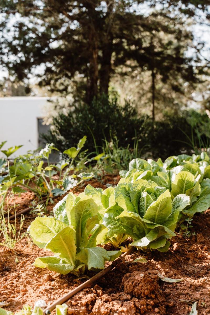 Can Vistabella Boutique Resort